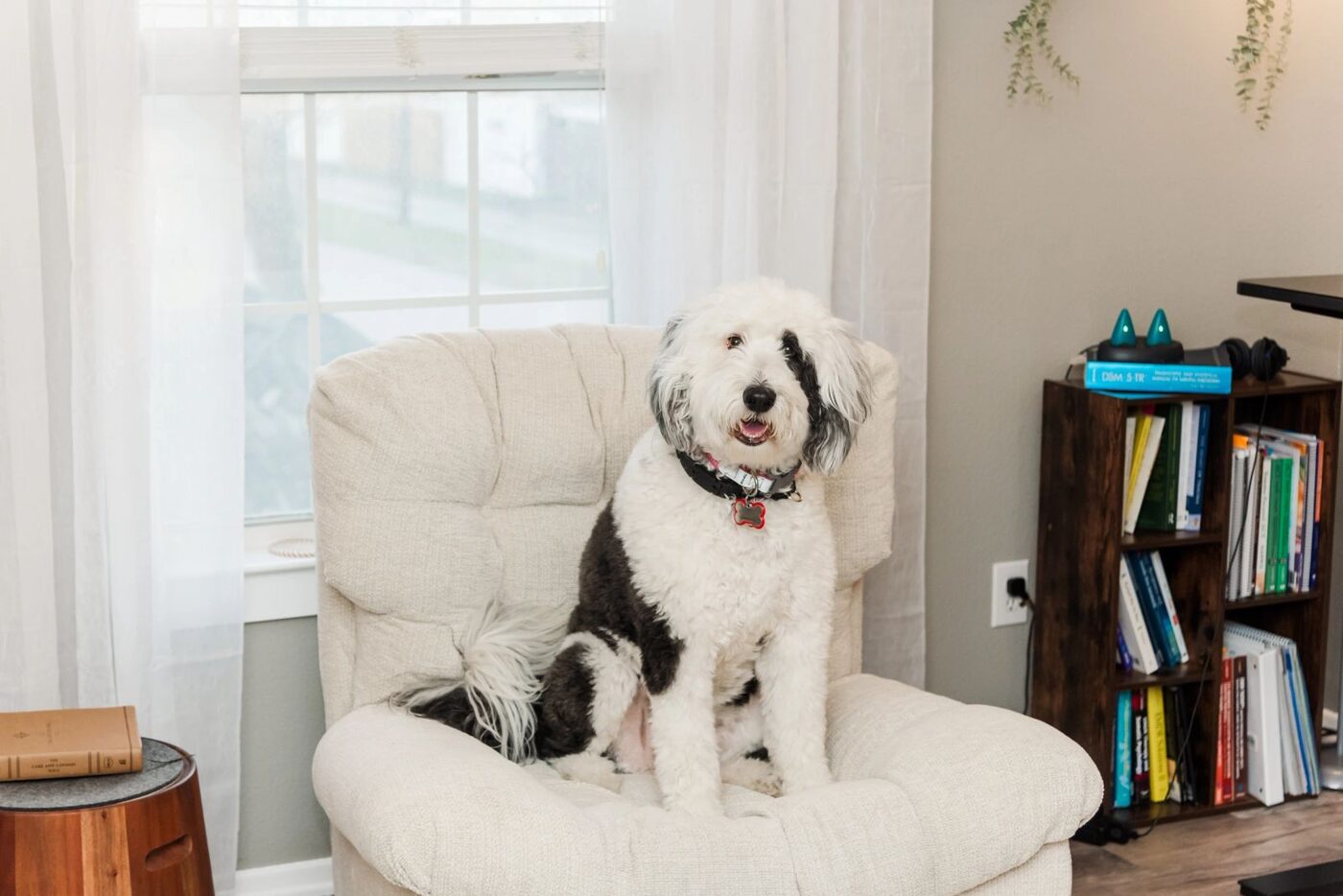 Suite 200, a counseling room with comfortable seating